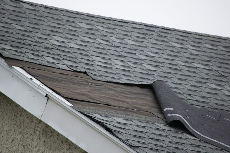 Repaired Roof